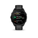 Smartwatch Garmin Forerunner 165 Black/Slate Grey